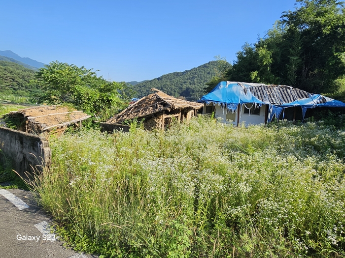 성주군 수륜면 계정리의 한 농가 빈집. 성주군 빈집실태조사에서 확인된 빈집 389호 가운데 일반빈집은 291호, 물리적·구조적 훼손이 심각해 안전조치나 철거 등이 필요한 특정빈집은 98호였다. 성주군 제공