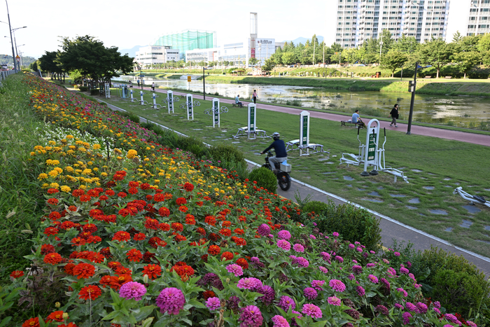 경산을 가로지르는 남천은 내실을 다진 생태하천이다. 맨발산책로와 파크골프장에는 시민들이 끊이지 않는다. 러닝의 성지로도 각광받는 남천에는 이웃도시인 대구에서도 찾는 이들이 적지 않다.