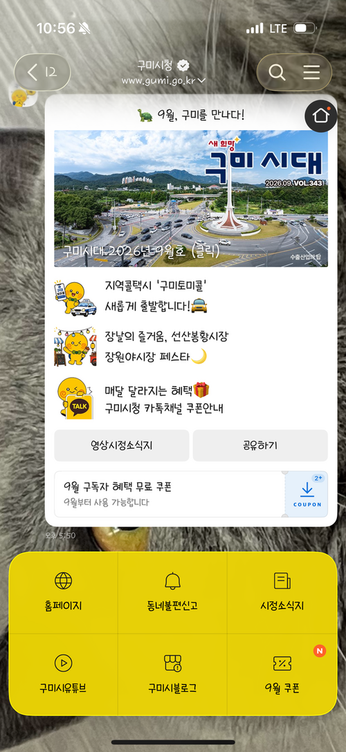 구미시 카카오톡 채널 화면. 9월호 시정소식지 구미시대와 영상 시정소식지, 구독자 쿠폰을 한 화면에서 확인할 수 있다. 구미시 제공