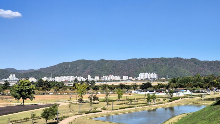 7일 경주 월성 성곽에서 바라본 도심 주변 산림. 멀리 산 능선 곳곳에서도 소나무재선충병 피해로 적갈색으로 변한 산림이 눈에 띈다. 장성재기자