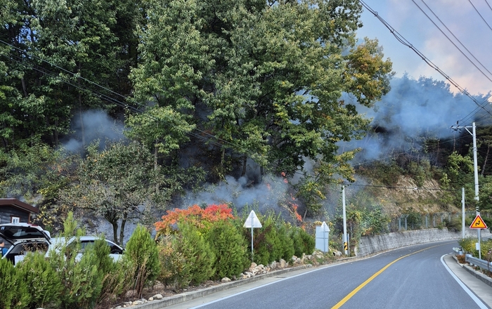 11일 오전 경북 봉화군 물야면 개단리 야산에서 산불이 발생해 도로와 인접한 산비탈에 불길이 번지고 연기가 치솟고 있다. 산림청 제공
