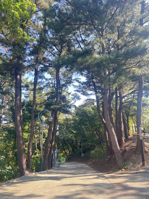 망양정 정자까지 가는 포장도로로 걸어서 200m거리가  바람소리길  모습.원형래기자