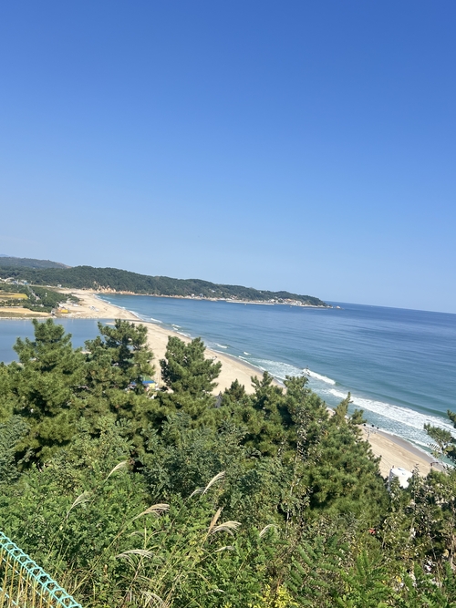망양정 정자에서 바라본 왕피천과 바다가 만나는 곳 모습.원형래기자