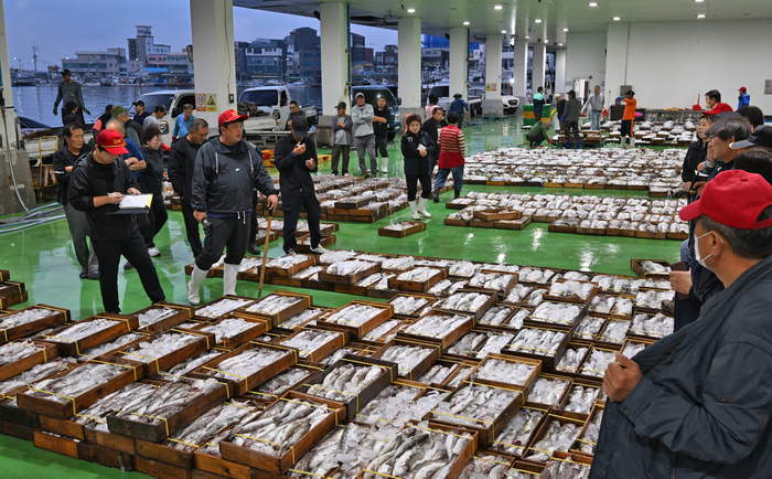 경주 감포항에 위치한 경주시수협 감포위판장에서 경매가 진행되고 있다.