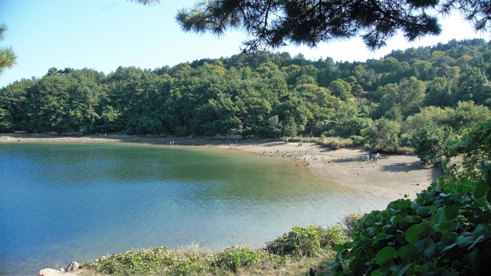 해변의 오솔길을 따라 반달 같은 모래밭에 닿는다. 금세 바다가 물러났는지 모래는 젖어 있다. 바다는 호수처럼 잔잔하고 파도가 없어 고요하다.