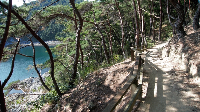 저도 비치로드의 첫 구간은 숲길로 흙길 또는 야자매트로 잘 정비되어 있다. 울창한 숲에서 바다는 드물게 나타나지만 곧 샛길이 바다로 인도한다.