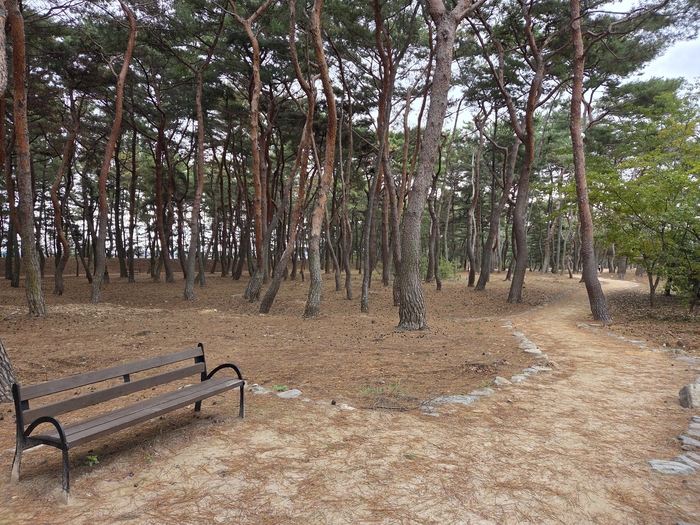 북천수 내부에는 맨발 산책로와 벤치 등 시민 편의 시설이 잘 갖춰져 있다. 전준혁 기자
