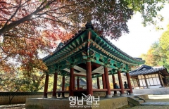 [스토리텔링 2011] 인물열전 <21> 우광훈의 '오백년 도읍지를 필마로 도라드니 - 야은 길재 스토리 (구미)'