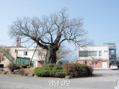 [2011 스토리텔링 淸謙眞景의 비밀 .1] 청하읍성에 서서 해를 맞다