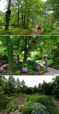 [스토리텔링 2014] 스토리의 寶庫 영일만을 가다<5> 기청산 식물원