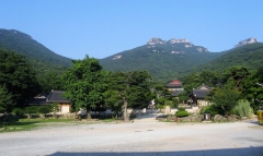 [山寺미학 .10] 산사 숲길...僧·俗 잇는 대흥사 십리숲길 끝자락엔 臥佛 닮은 두륜산과 하늘이 마중…