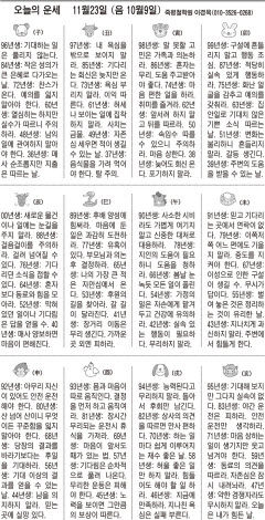[오늘의 운세] 11월23일 (음 10월9일) (오늘의 띠별 운세) (생년월일운세)