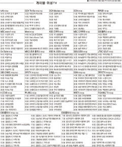 12월31일(목) 케이블·위성TV 편성표