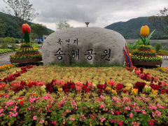 [동네뉴스] 송해 선생과 대구 달성군의 인연…부인의 고향으로 