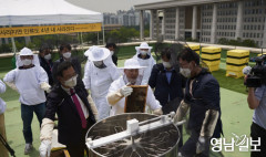 안상규꿀벌연구소, 서울 여의도 국회에서 벌꿀 수확