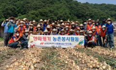 남양금속 임직원, 달성군 양파재배 농가 일손돕기