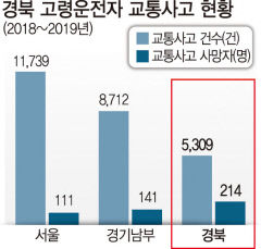 65세 이상 고령운전자에 의한 교통사고 사망자가 가장 많은 곳은 