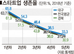 [대구경북 스타트업 위기] 창업초기 대비 매출·종업원수 10% 이상 증가 '가젤 기업' 찾기 힘들다