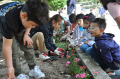 [작은 학교 큰 꿈] 울릉 남양초등, 다양한 특화 교육으로 학생 수 다시 증가