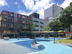 [유명인 이름만 갖다붙인 ○○길 명암] 단순히 '대구의 아들' 프레임으로 접근했다가 봉준호거리 무산 사례도