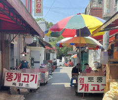 초복에 칠성 개시장에 손님 몰려...동물보호단체 