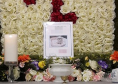 [동물화장장 없는 대구] 언제까지 타지역서 화장해야 하나요...불법 장묘까지 '기승'