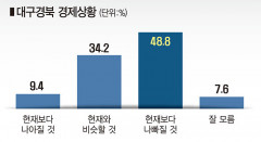 대구시-경북도민 49.6% 