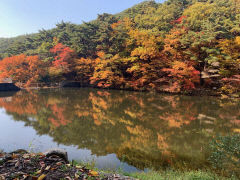 [동네뉴스- 스마트폰 세상보기] 대구 팔공산 파계사 못에 내려앉은 가을