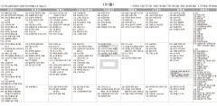 12월31일(금) TV 편성표