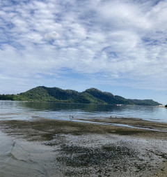 [스물셋 말레이시아에 떴다] 나의 첫 말레이 은행 그리고 조지타운-뜻밖의 힐링 은행 방문