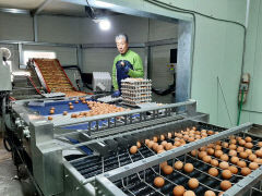 동충하초 먹인 무항생제 계란 생산하는 농업회사법인 명진