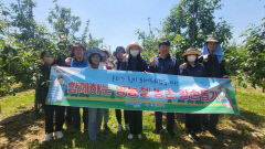 포항시 북구청 자치행정과, '일손 비상' 사과농장서 구슬땀