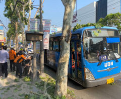 대구 남구 봉덕동 지나던 시내버스 가로수 들이받아...4명 경상
