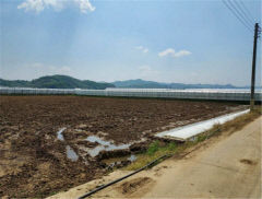 [공매 정보] 김천시 개령면 신룡리 180-1 답