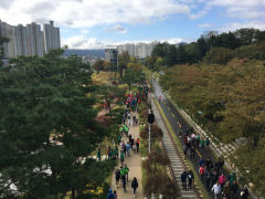 포항 철길숲, 매일 3만 명 이상 걷는다…일상 속 필수공간으로 자리매김