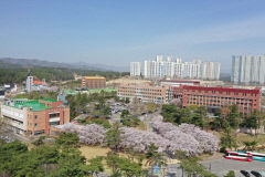 선린대, 재정지원 제한 대학서 빠져…2024년까지 약 80억 원 국고 지원 확정