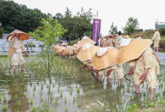 모심기~타작마당 등 '예천통명농요' 전과정 소개 호응
