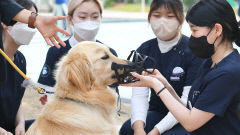 [포토뉴스] 
