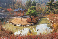 [포항 가볼만한 곳] 운제산 산림욕장 아이들과 습지 식물 관찰하고 신나게 놀 수 있어