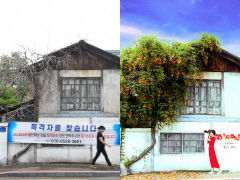 [포토뉴스] 테러로 사라진 경산 능소화 명소