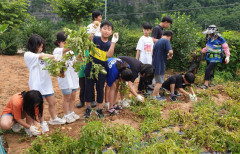 도시 학생들 '농촌 유학' …봉화 '청량산풍경원 농촌유학센터' 주목