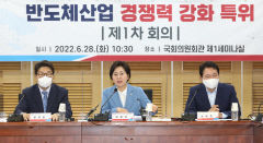 국민의힘 반도체산업 경쟁력강화 특별위원회, 28일 첫 회의