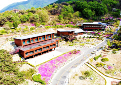 [영천 가볼만한 곳] '보현산자연휴양림' 낮에는 야생화·밤에는 하늘의 별 감상