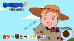 [뿡패밀리-재미있는 상식편] 세상에! 사각형 똥을 누는 동물이라니?