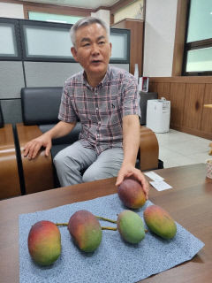 나노헬스케어<주>, 일라이트 성분 그린쏘일닥터 개발