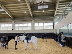 말(馬) 산업 육성 열중 경북도…여가·치료용으로 각광