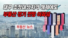 대구 조정대상지역 해제에도 부동산 경기 전망 어두워