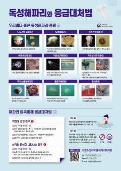 정부, 경북 등 여름철 해수욕장 해파리 쏘임 주의