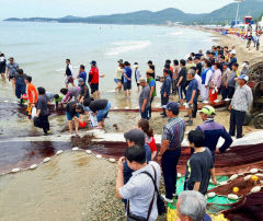 포항 월포 바닷가 '핫 플레이스' 떠올라…서울서 기차 타고 도착