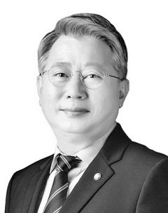 [여의도 메일] 시행령이 뭐길래